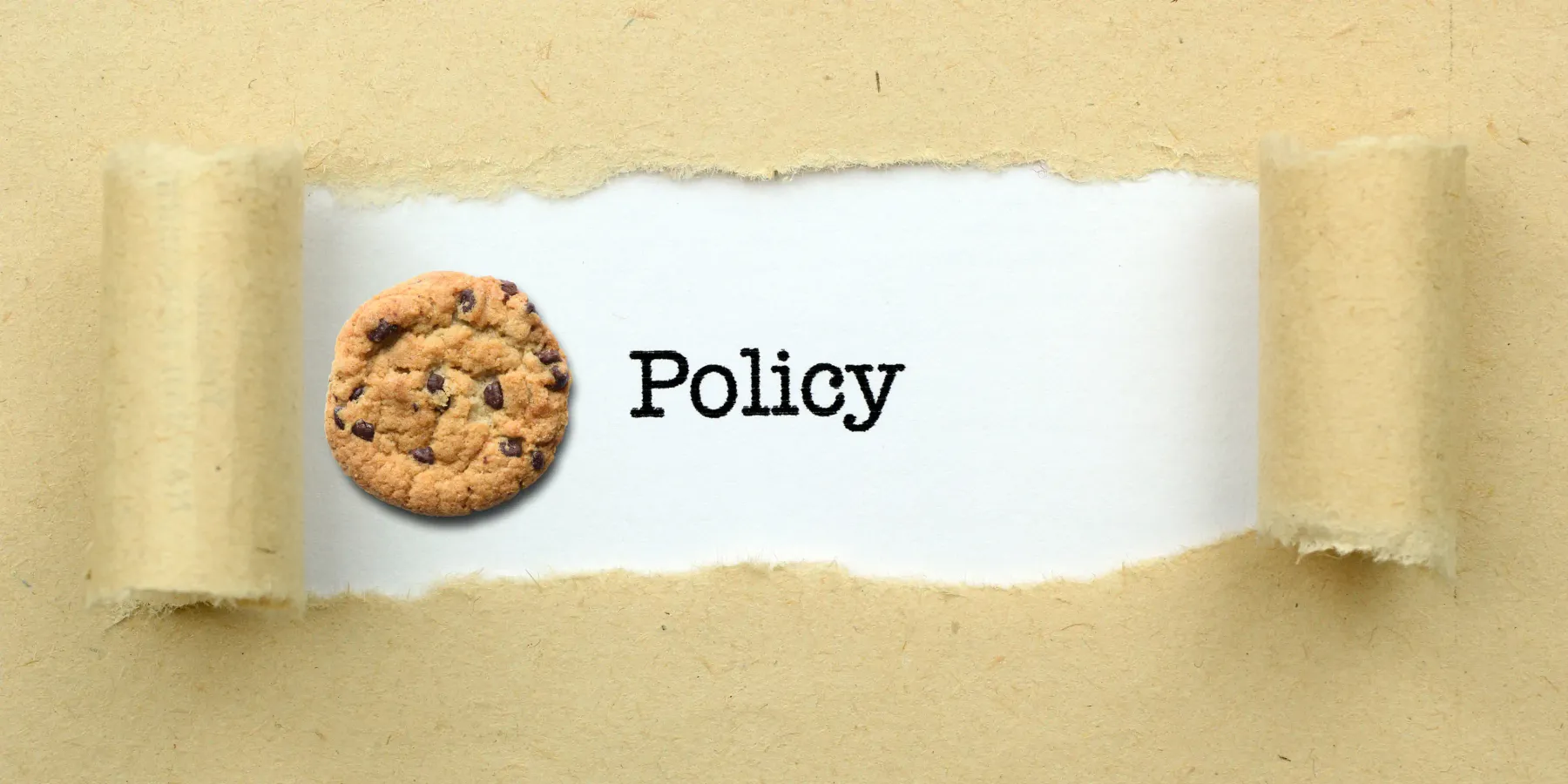 Cookie next to word Policy in centre of torn paper, with white background
