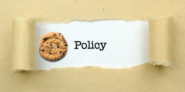 Cookie next to word Policy in centre of torn paper, with white background